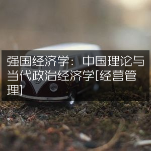 强国经济学，探索中国理论与当代政治经济学的经营管理之道