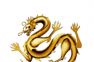 中国龙装饰素材矢量