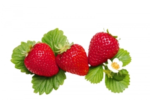 水果新鲜草莓