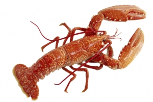 小龙虾美味可口