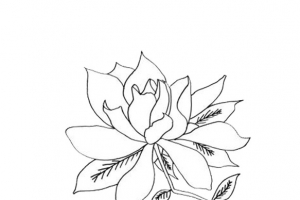 栀子花简笔画