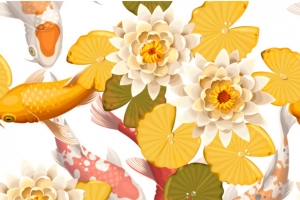 黄色鲤鱼和睡莲插画矢量