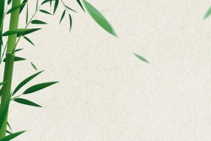 茶文化中式海报banner