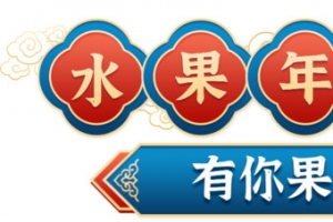 2022 老虎 价格标签 爆品