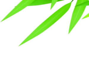 竹叶绿叶端午节点缀