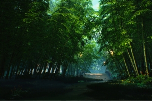绿色竹林4K护眼壁纸 3840x2160高清免费下载