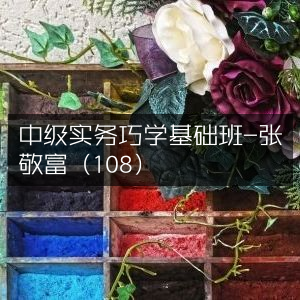 张敬富中级实务基础班，巧学攻略（108课）