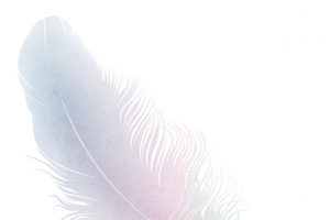 彩色手绘渐变羽毛