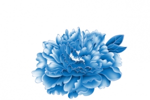 蓝色小花朵儿