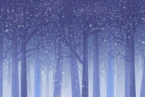 树林雪地