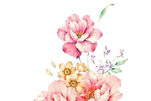 手绘花卉 水彩花