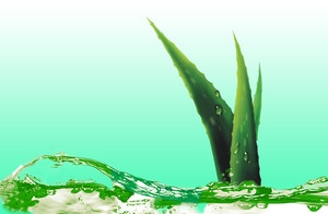 护肤品芦荟清新背景banner