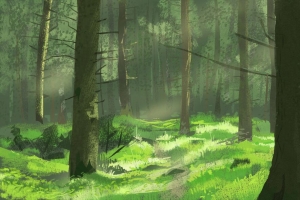 3840x2160 树 森林 路径 树枝 艺术壁纸 背景
