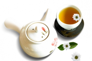 白菊花茶