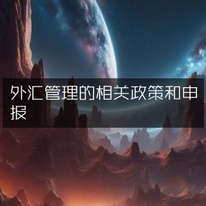 外汇管理政策详解及申报指南