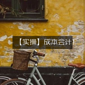 实操，掌握成本会计1