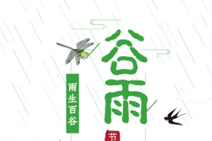 谷雨雨滴蜻蜓燕子云荷花