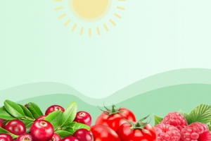 水果蔬菜清新绿色海报背景