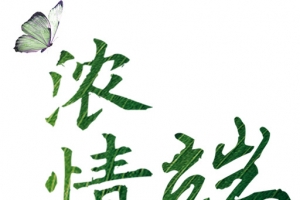 浓情端午