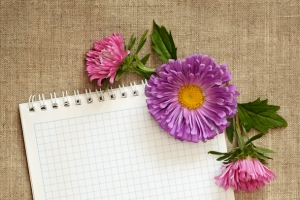 菊花圆珠笔与本子