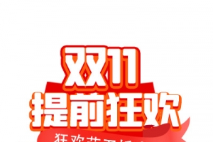双11提前狂欢五折购