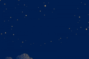 卡通扁平夜景背景图
