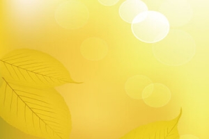 秋季金黄色树叶背景banner