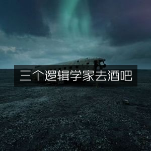 三个逻辑学家酒吧聚会，提升个人思维能力的必读书籍