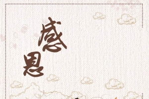 简约卡通感恩节美食海报背景