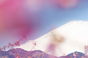 富士山背景