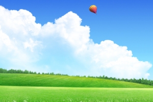 森林树林蓝天热气球背景banner