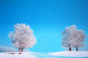 蓝色天空白色雪花