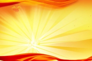 金黄党建banner