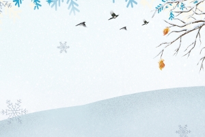 雪花小清新狐狸卡通雪地banner