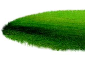 草地