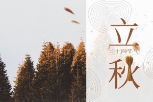 大气简约立秋二十四节气banner海报