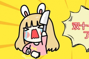 双十一剁手···