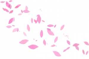 花瓣海报手绘粉色