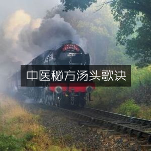 中医古典秘方，汤头歌诀精选文集