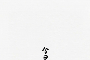 今日晴 宜吃瓜 吃瓜专用手机壁纸