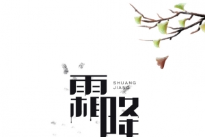 霜降手绘银杏树枝装饰元素
