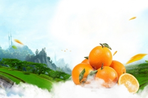 水果橙子大山风景图banner