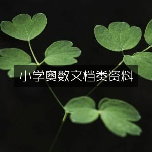 小学奥数学习资料文档