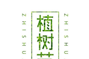 方框树叶底纹植树节