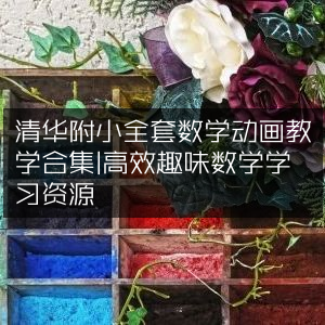 清华附小数学动画全集，高效趣味学习资源大放送