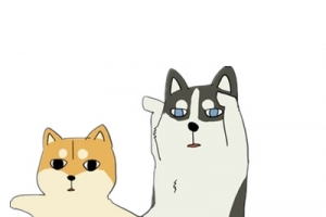 柴犬和哈士奇卡通
