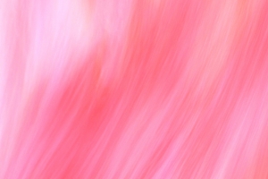 甜蜜粉色
