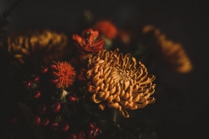 花 花束 构图 深色 4k壁纸 3840x2160