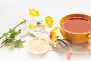 花茶简约白色banner