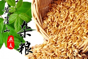 天猫食品燕麦